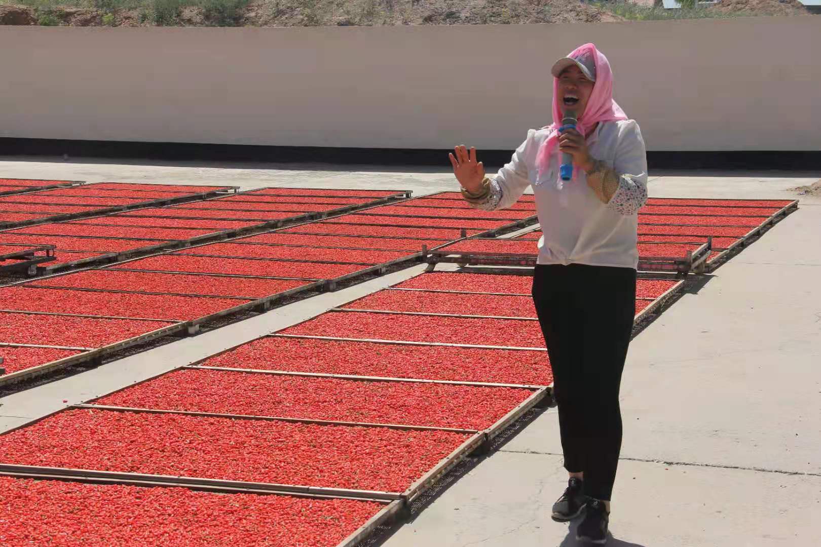 微信图片_20210830170956.jpg 微信图片_20210830170956.jpg