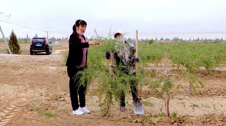 微信图片_202108301709561.jpg 微信图片_202108301709561.jpg