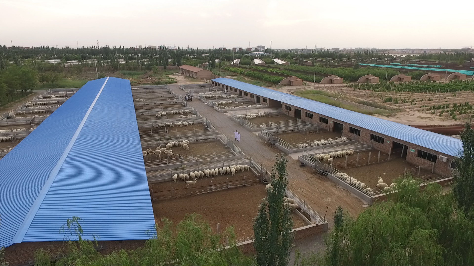 天源养殖.jpg 天源养殖.jpg