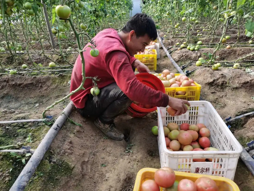 3.webp.jpg 3.webp.jpg