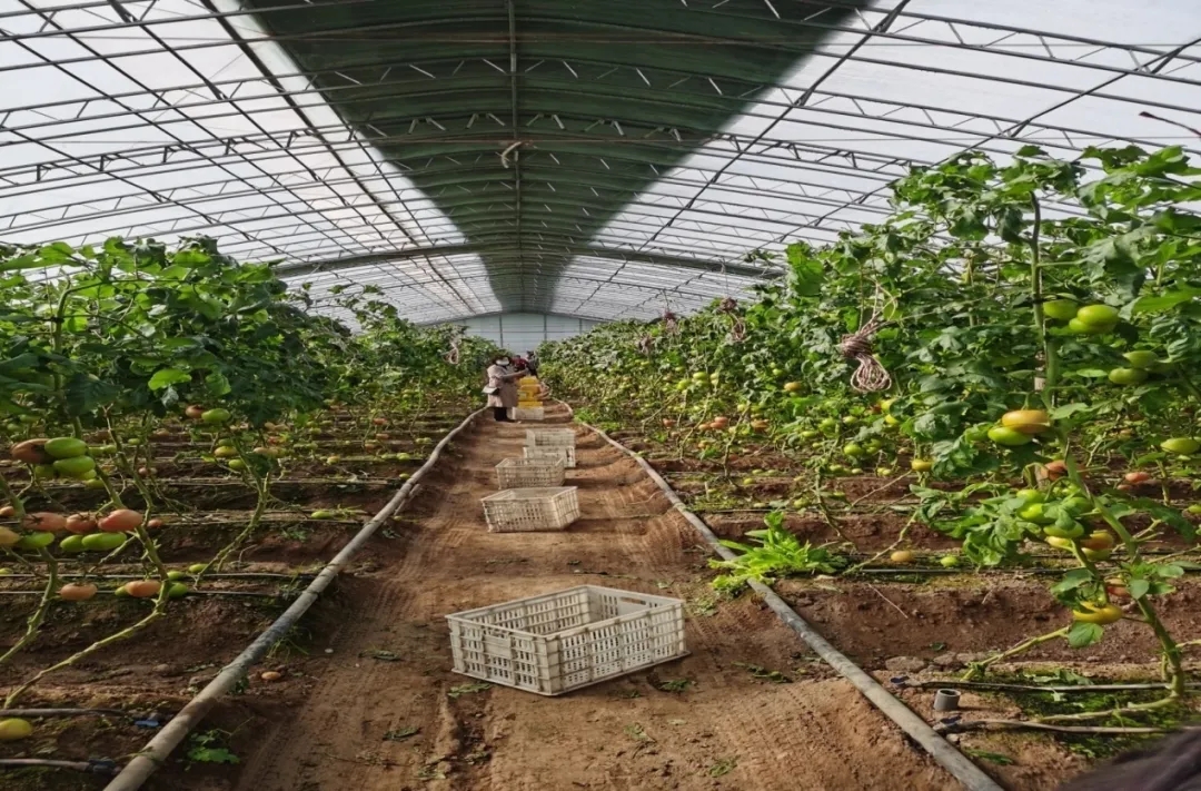 4.webp.jpg 4.webp.jpg