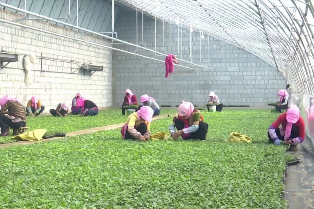 727059674d233c7adc41dc661c4af2b.jpg 727059674d233c7adc41dc661c4af2b.jpg