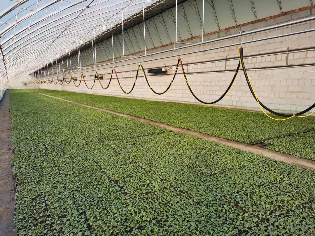 80c04be1601f3a4674df6ac77ca5c17.jpg 80c04be1601f3a4674df6ac77ca5c17.jpg