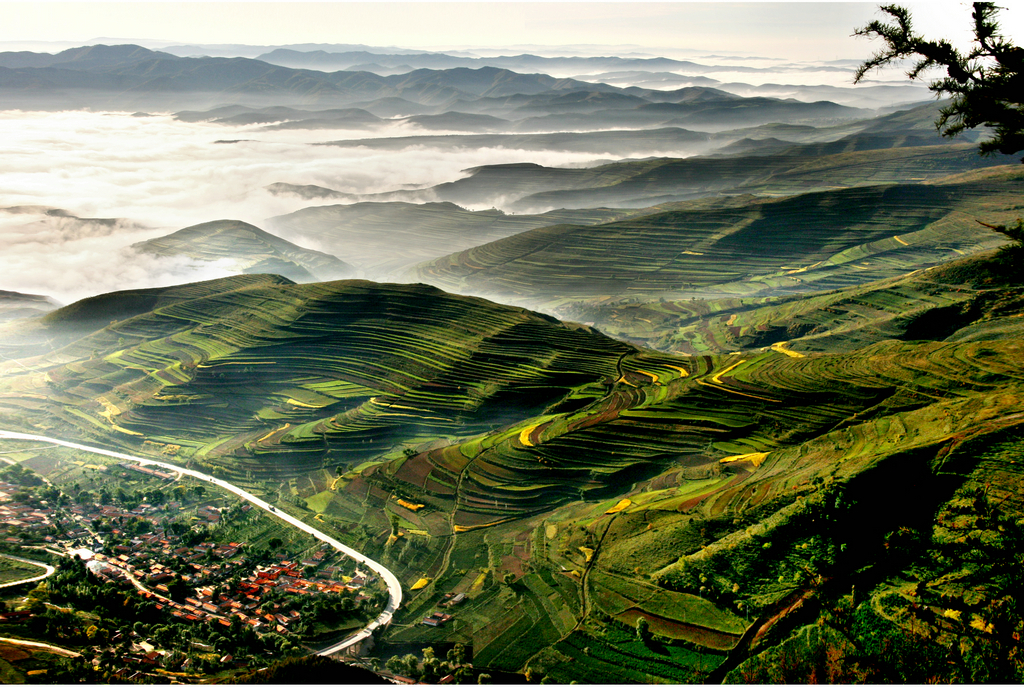14《六盘山下有人家》李东海.jpg