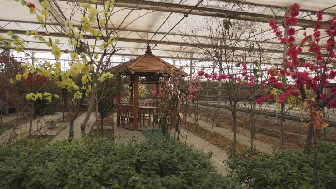 微信图片_20211216181535.jpg 微信图片_20211216181535.jpg