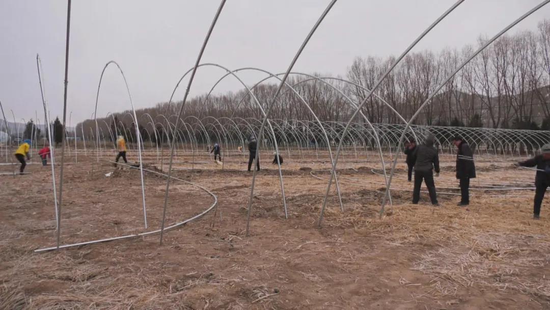 微信图片_20211216181537.jpg 微信图片_20211216181537.jpg