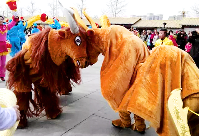 图片4-.jpg 图片4-.jpg