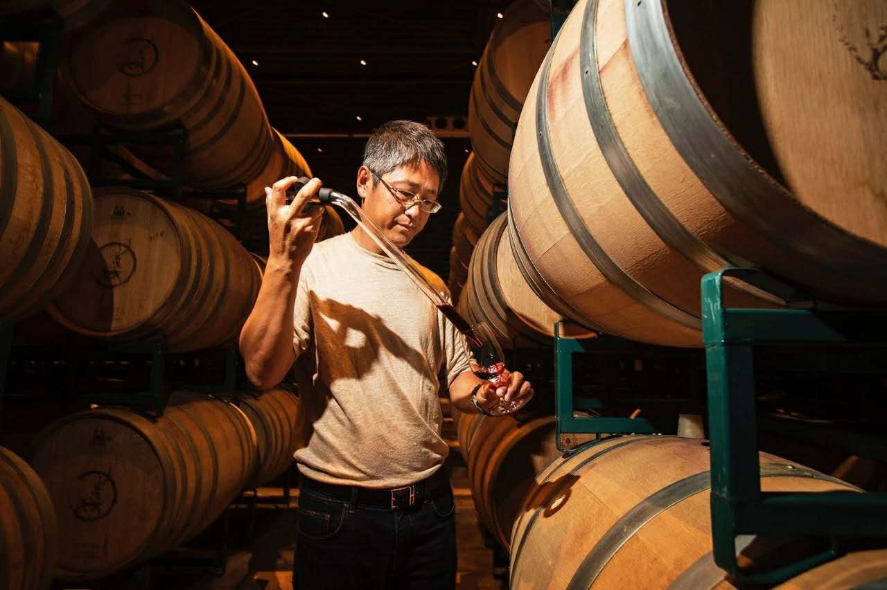 西鸽酒庄酒窖3.jpg 西鸽酒庄酒窖3.jpg