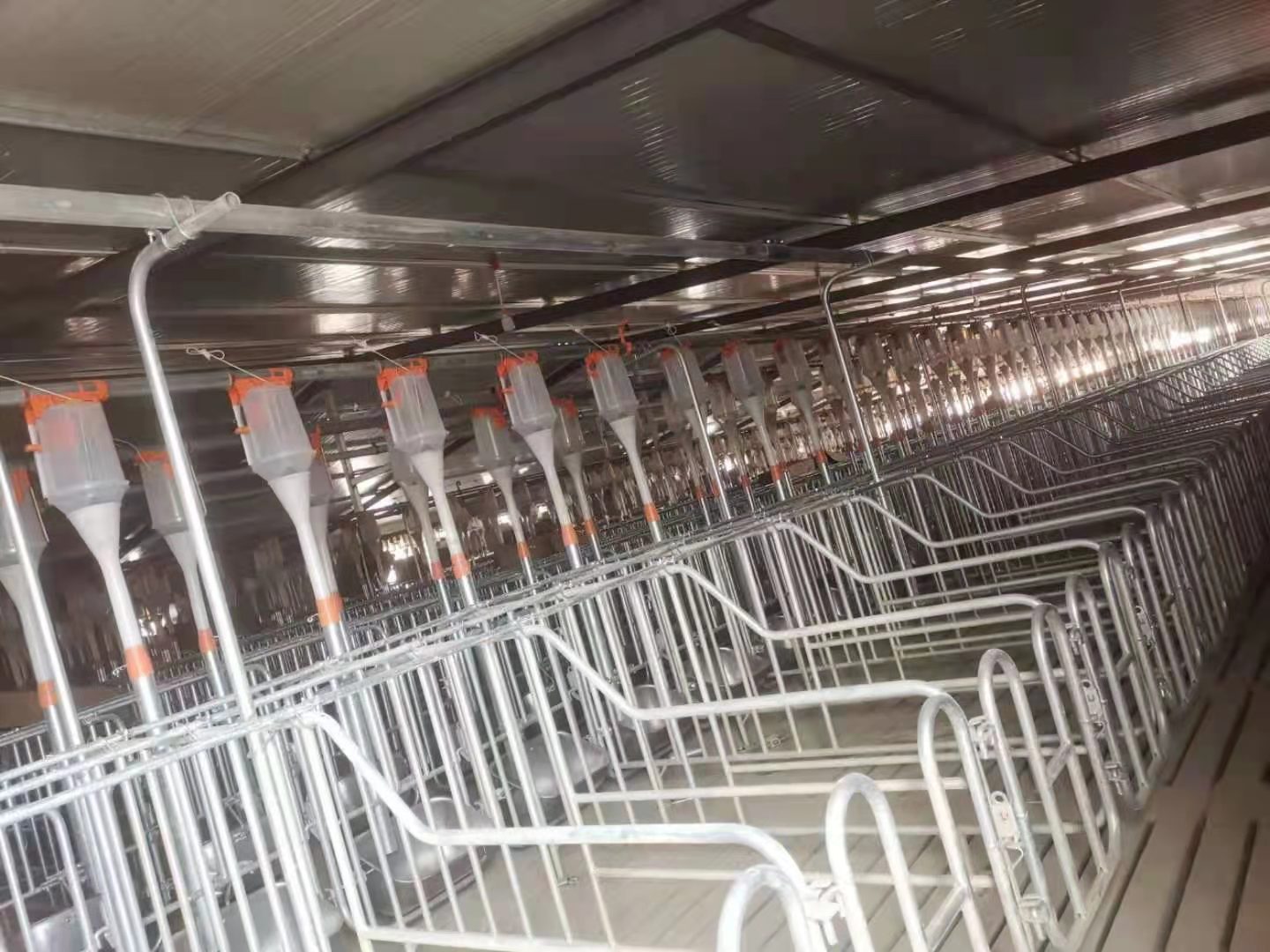 养殖场照片 (2).jpg 养殖场照片 (2).jpg