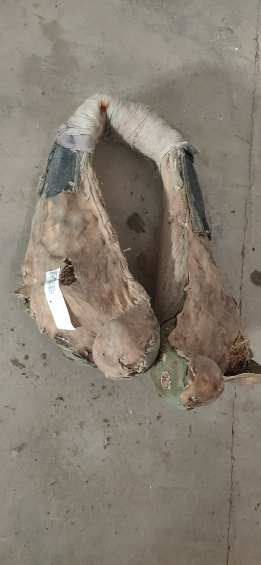 实物名称:驴围脖;存放地点:同心县张家塬村文化大院;所属人物:集体所有。.jpg 实物名称:驴围脖;存放地点:同心县张家塬村文化大院;所属人物:集体所有。.jpg