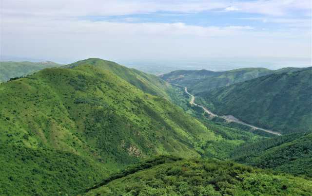 大图5.jpg 大图5.jpg