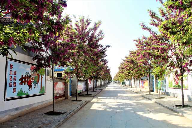 微信图片_20201019174823.jpg 微信图片_20201019174823.jpg