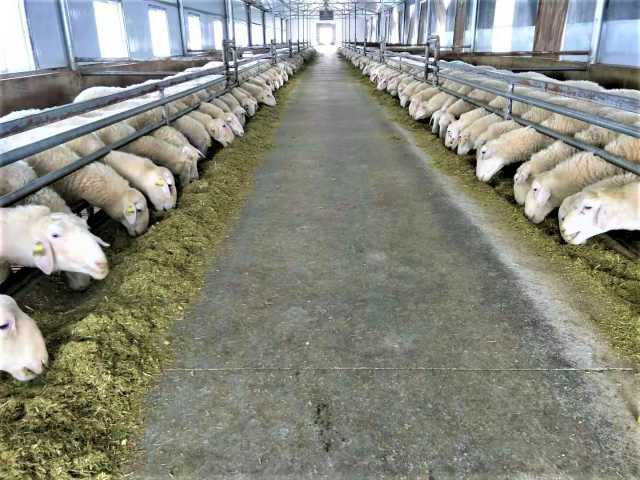 微信图片_20201019174827.jpg 微信图片_20201019174827.jpg