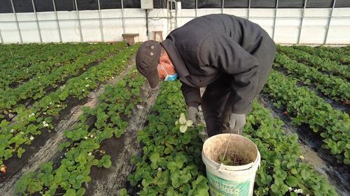 W020210224606441509527.jpg W020210224606441509527.jpg