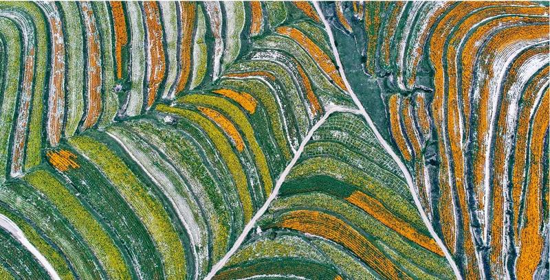 微信图片_20210401093654.jpg 微信图片_20210401093654.jpg